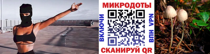 Псилоцибиновые грибы прущие грибы  MEGA ТОР  Гусиноозёрск 